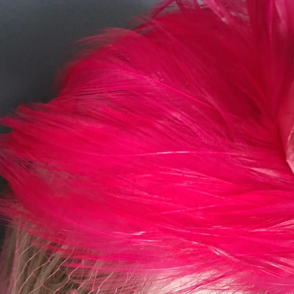 Cute Fascinator With Mrsh